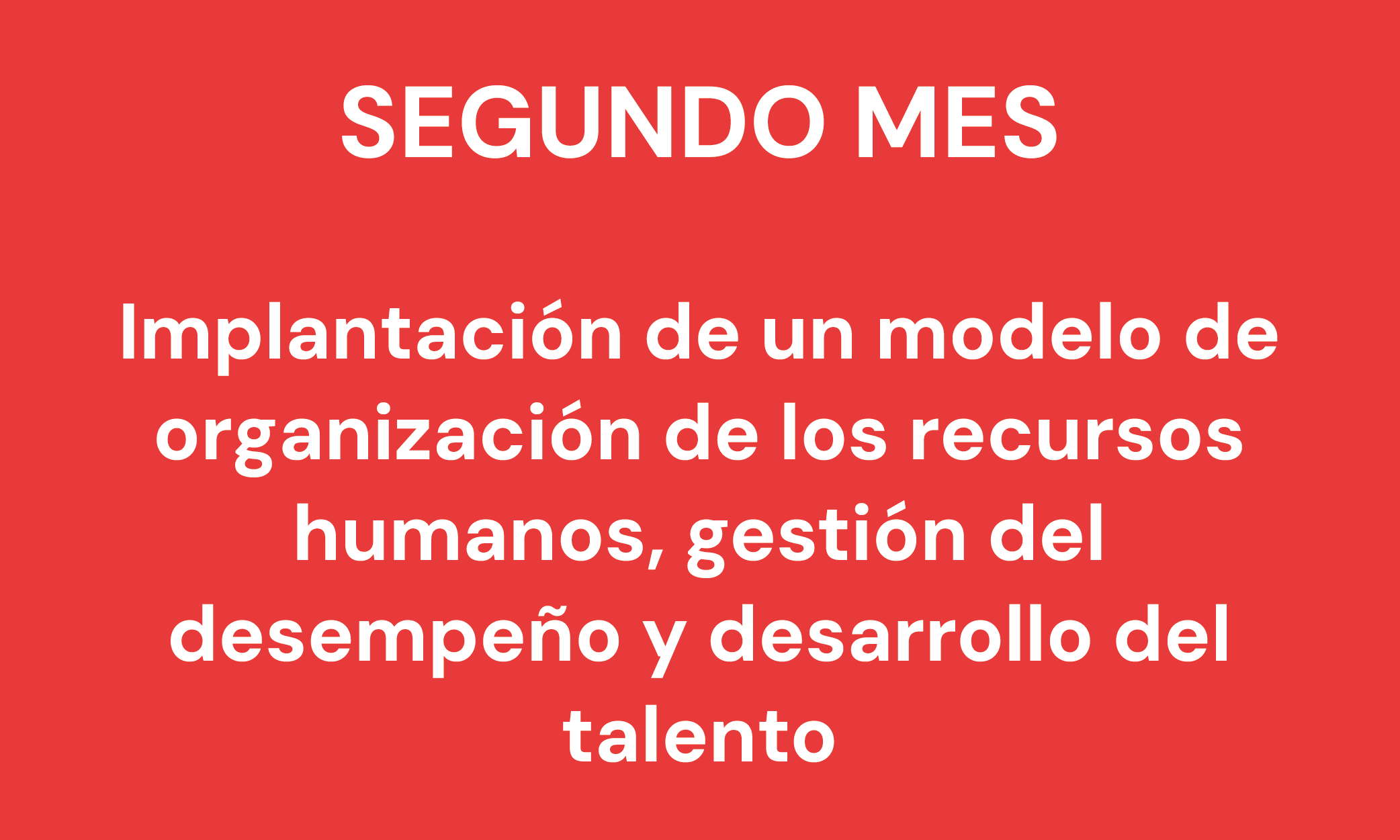 Segundo Mes